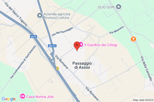 Emmegi Collezione Moda Di Mezzoprete M. G.