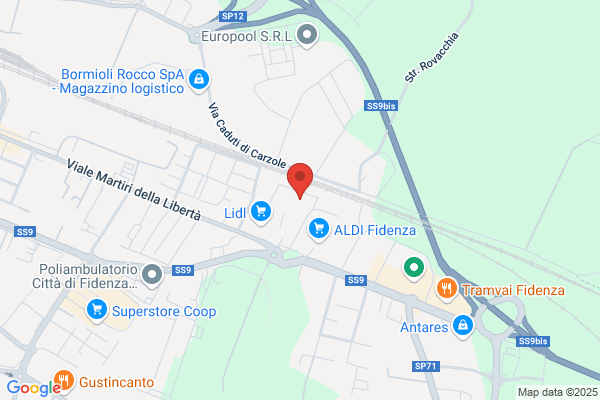 Aliani Centro Revisioni