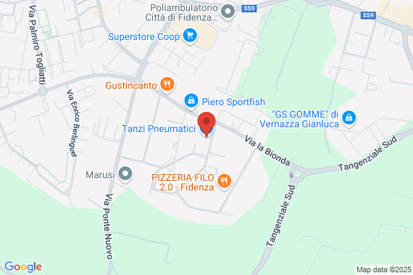 Tanzi Pneumatici S.N.C. Di Spaggiari Paolo E tanzi andrea