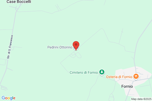 Pedrini ottorino