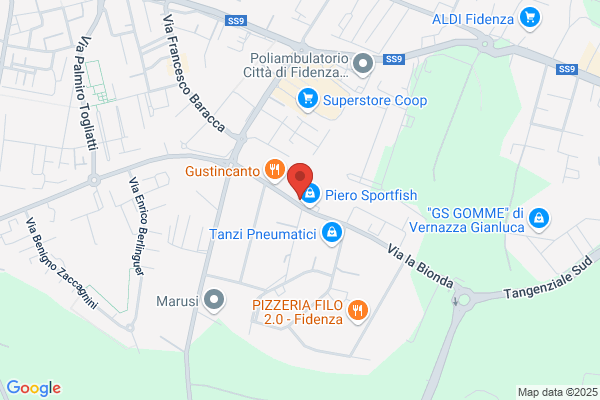 San Donnino Multiservizi Srl