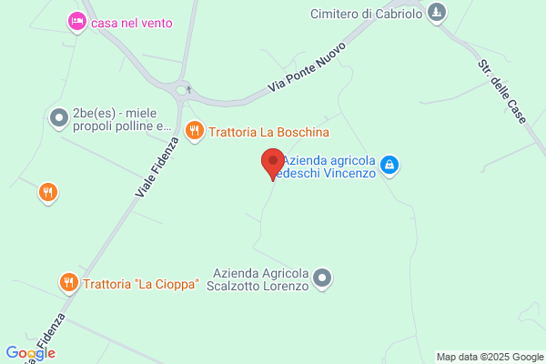 Gotri Stefano