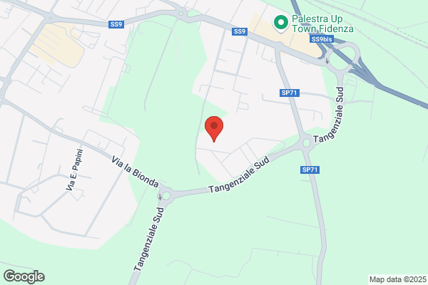 Fidenza Modelli Di Rossi E Crovini (S.N.C.)