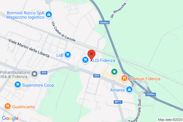 Ziliani Centro Gomme