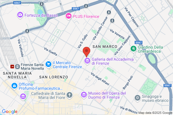 Focacceria San Marco Srl
