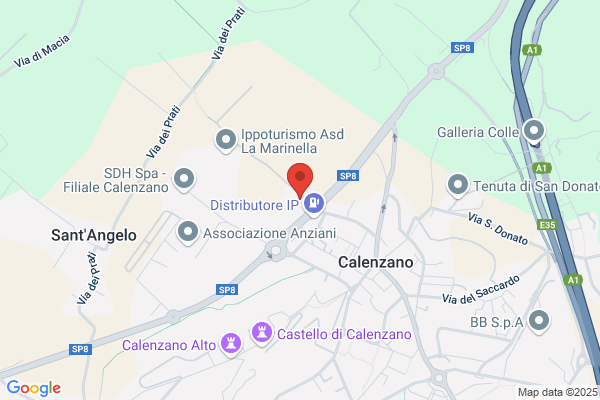 Gabbrielli International Di Gabbrielli Franco
