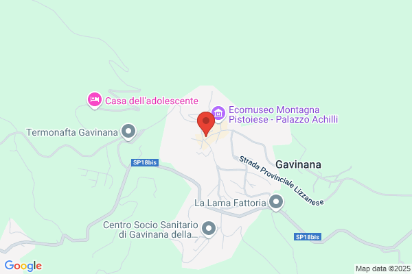 Farmacia Gavinana Snc De Dr Carlo Ceccherini e C.