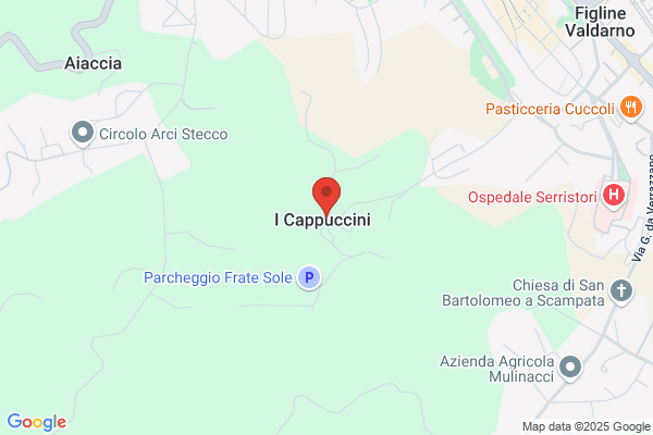 Cecchi Dr. Gregorio Ortopedico