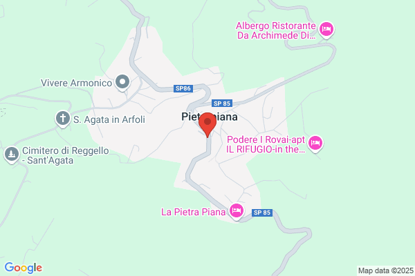 Nocentini gabrio (Ing.)