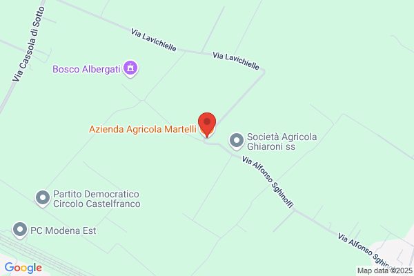 Martelli adriano