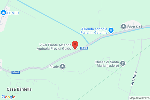 Vivai Pinate Az.Agric.Previdi Guido