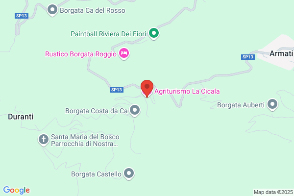 La Cicala Delle Palme Di Gionata Imbrenda