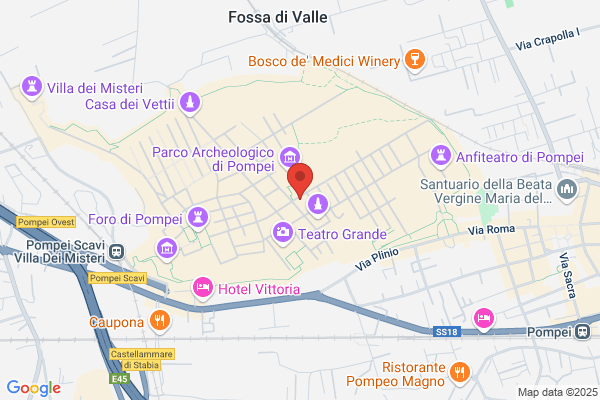Fullonica