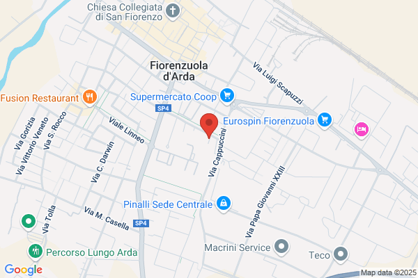 Modenesi tiziana