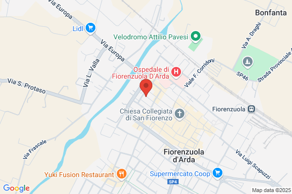Psicologa Loschi Dott.Ssa Elena