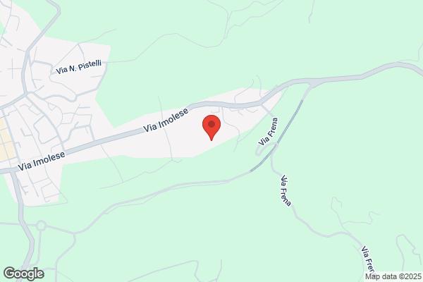 La Borghigiana Srl
