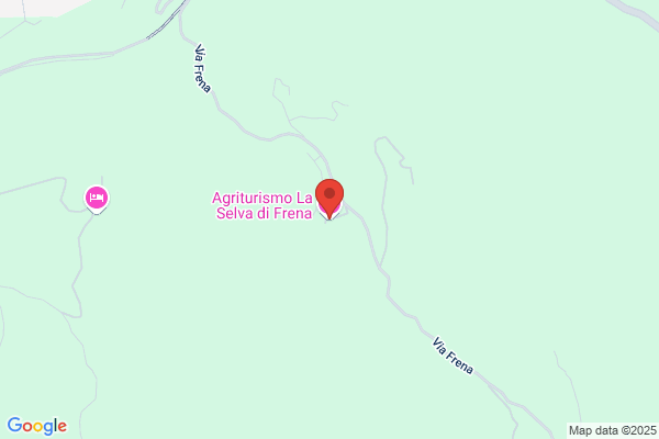 La Nuova Firenzuola E C. (S.N.C.)