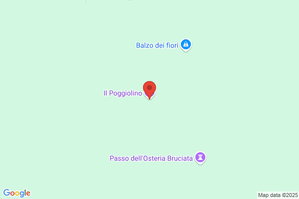 Vignoli angiolo