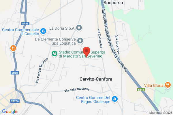 Vetro Sud Srl