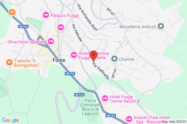 Pensione Aniene
