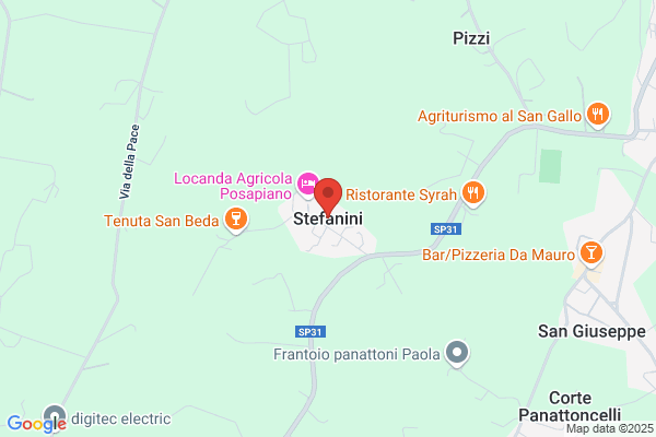 Stefanini armando