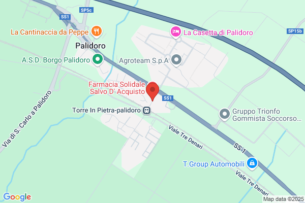 Tonelli Assicurazioni Srl domenico