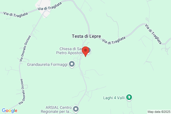 Scuola Elementare Testa Di Lepre