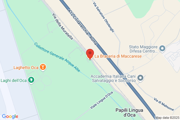 Braceria Maccarese