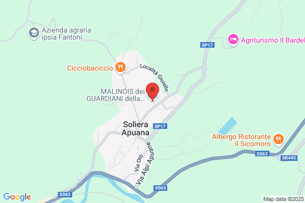 I Guardiani della Luna