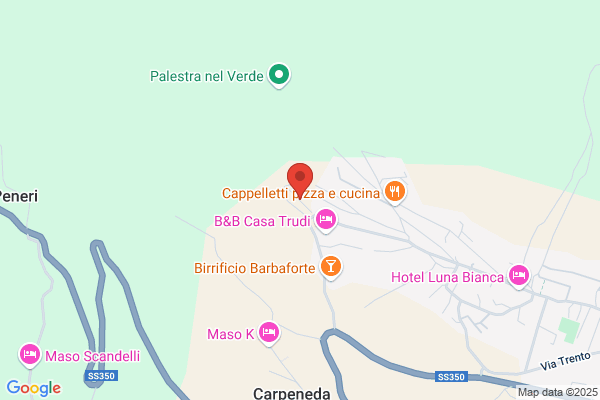 Fausto Plotegher - Costruzioni in Legno