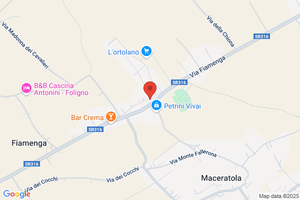 Masci vincenzo