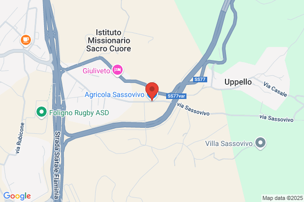 Gli Oliveti S.N.C.