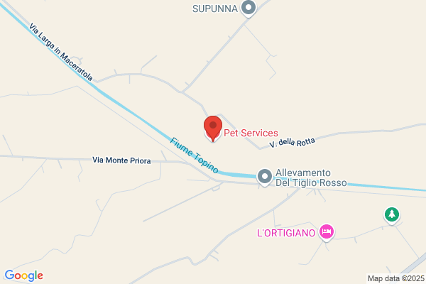 Pet Services