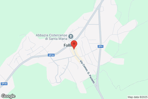 Ristorante al Caminetto