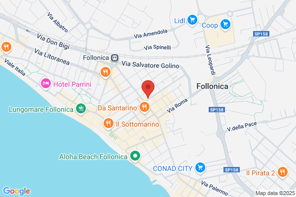 Vicisano francesco