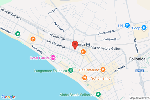 Centro Ortopedico Follonichese