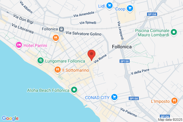 Il Delfino Srl