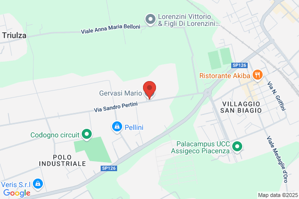 Gervasi Mario S.N.C.