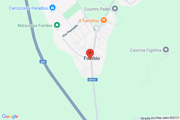 Losi angela (Arch.)