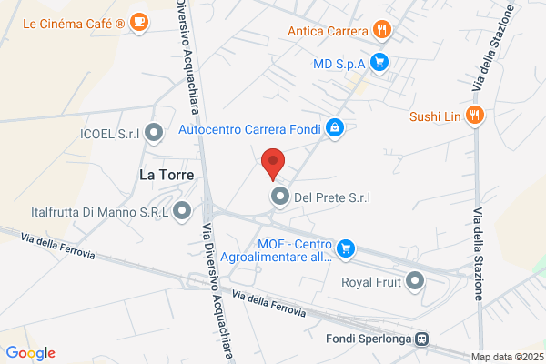 Il Pupillo Di Adolfo Cannella