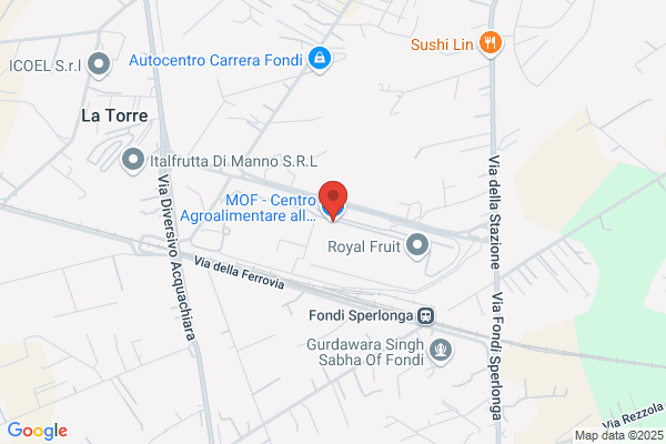 Ristorazioni Mof Srl