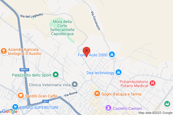 Talocco michele (Dr.)