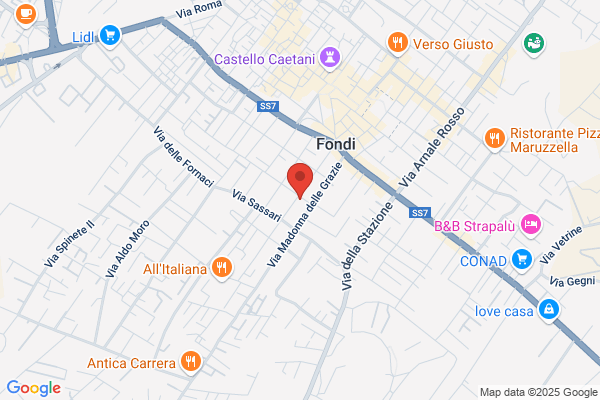 Mosillo anna (Dr.)