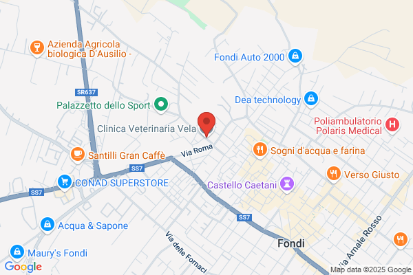 Clinica Veterinaria Vela