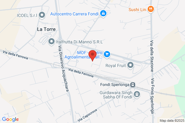 Ortobello Sdf Di Orticelli F.G.E.L.