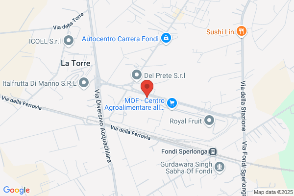 Forcina Marco & C. Sas