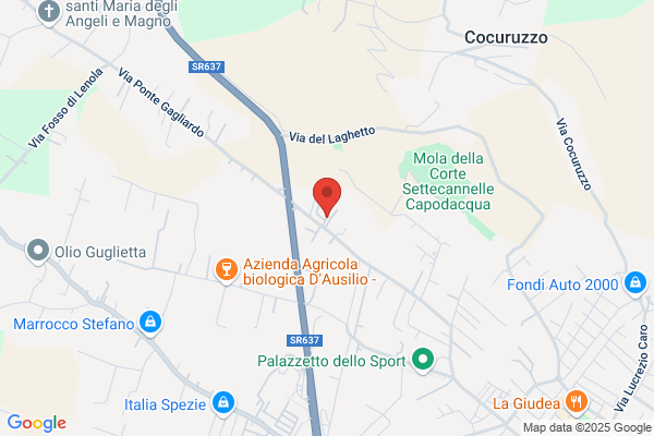Ideal Trasporti Srl