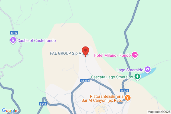 Fae Group