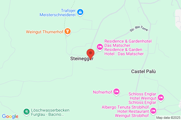 Hotel Ristorante Steinegger