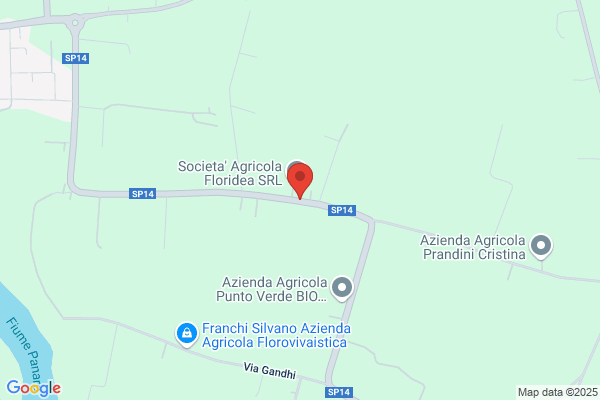 Municipio